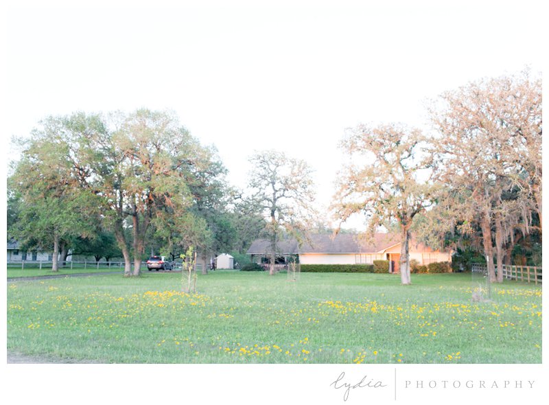 House at sunset in field of blue bonnets by destination Texas travel photographer.
