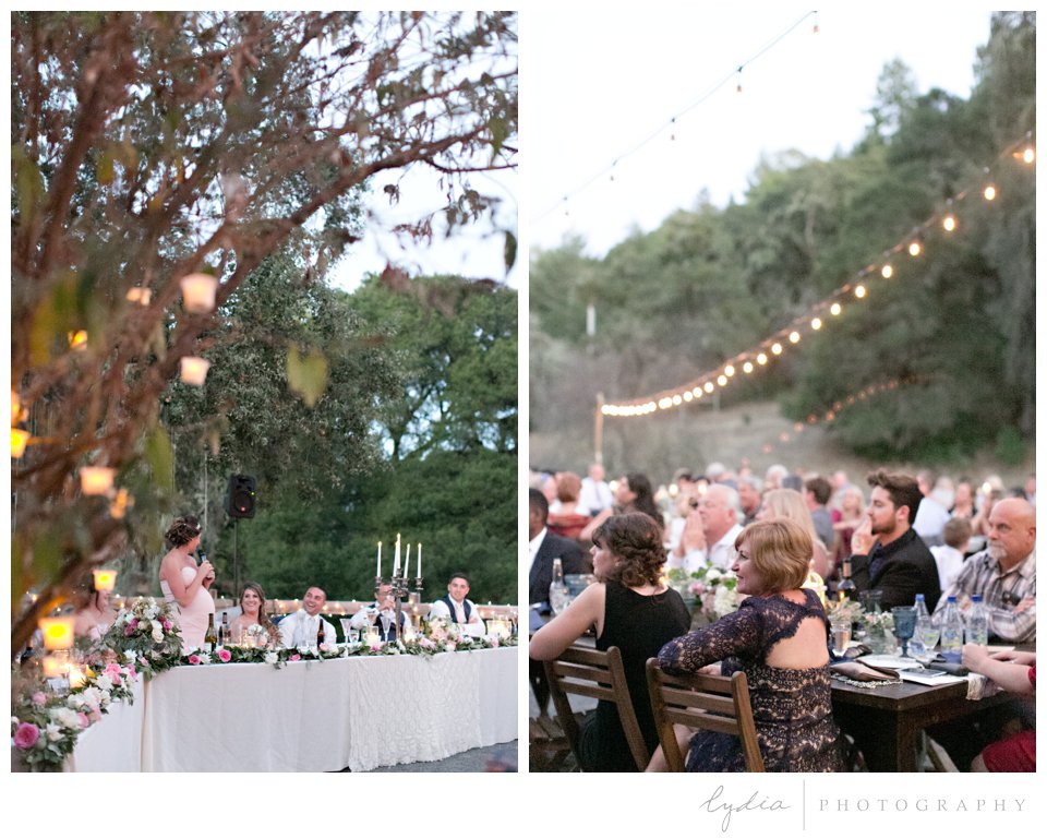 Toasts and bistro lights at The Highlands Estate Wedding in Sonoma, California.