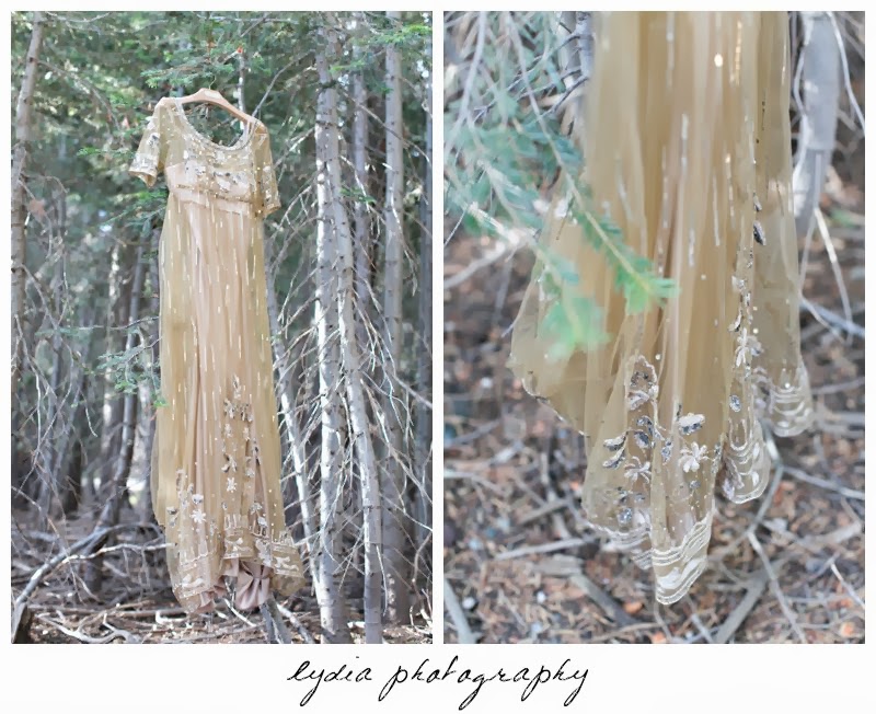 Brides's Anthropologie gold dress at intimate rustic vintage woodland wedding in Tahoe, California