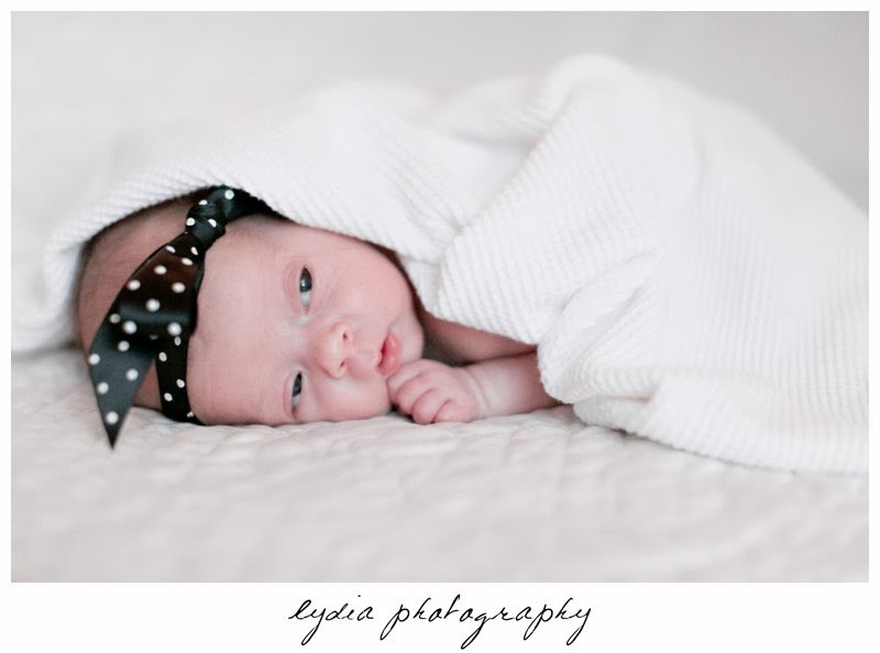 Newborn with a black and white poke-a-dot headband at newborn portraits in Grass Valley, California