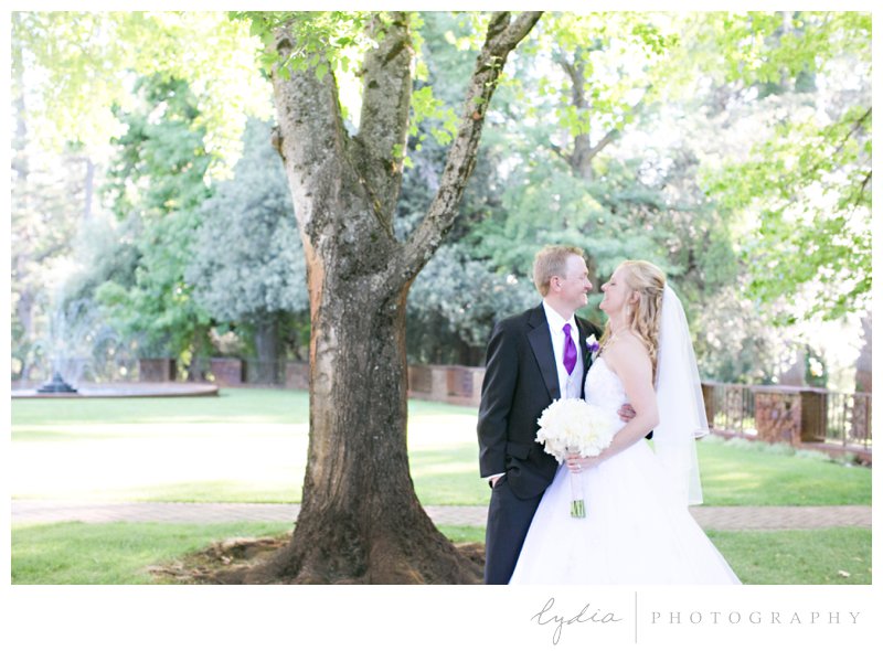 Bride and groom under a tree at Empire Mine fairytale wedding in Grass Valley, California 