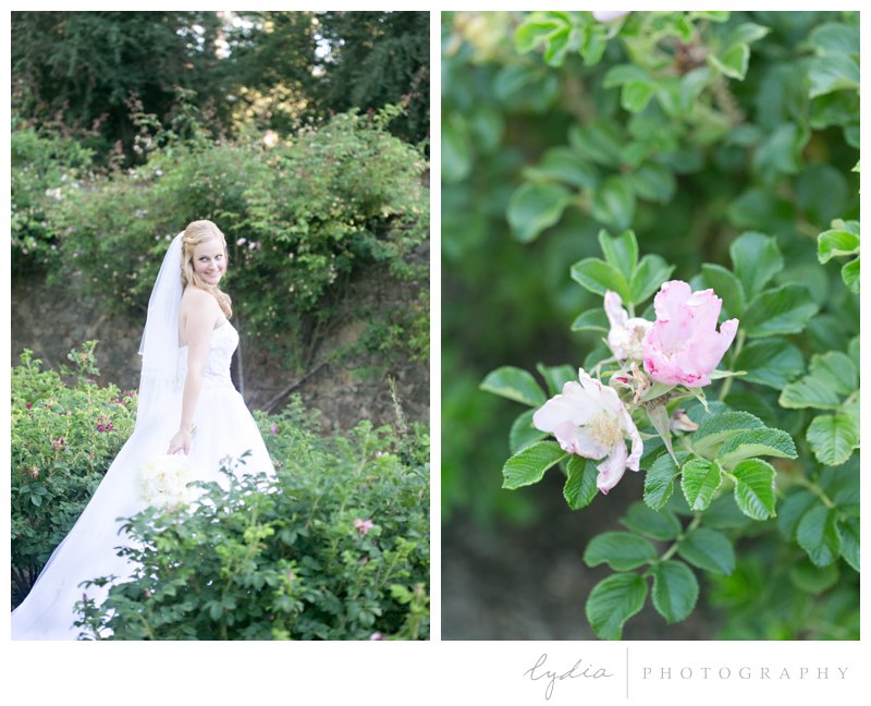 Bride at the rose garden at Empire Mine fairytale wedding in Grass Valley, California 