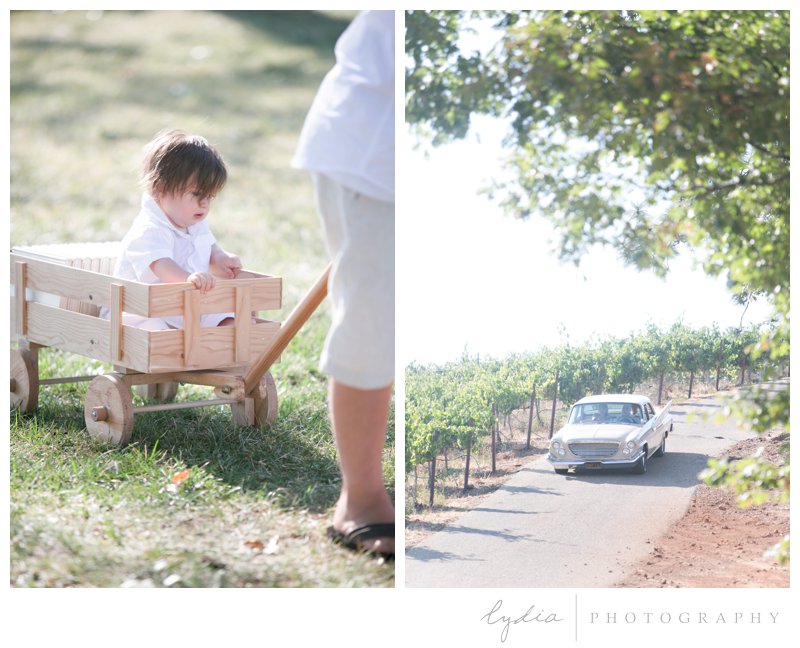 Bride riding down in a vintage car, and little ring bearer in a wagon for a vintage wedding at Lucchesi Vineyards in Grass Valley, California.