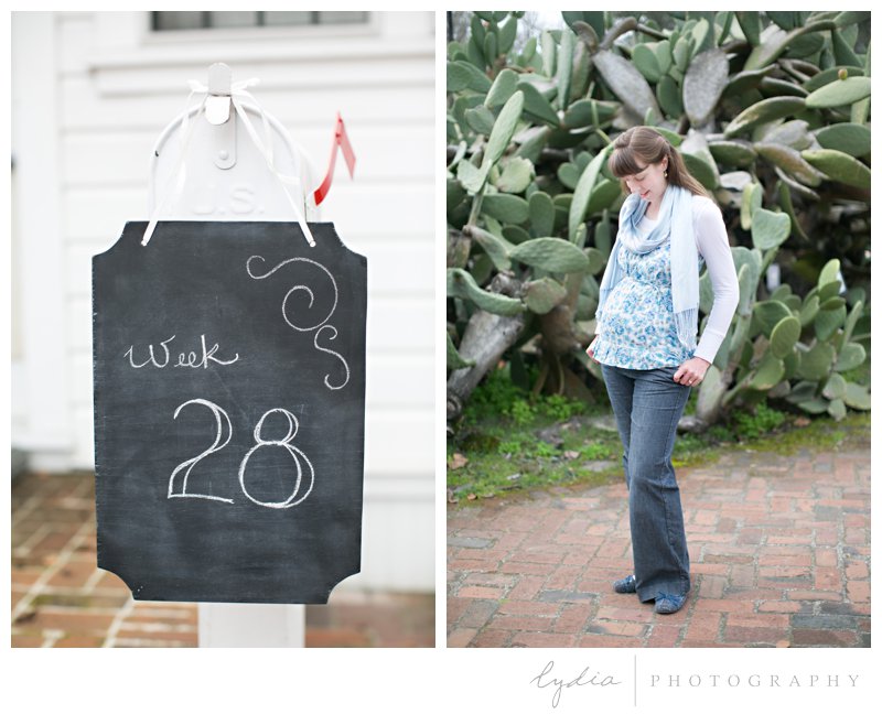 Chalkboard sign and cactus as a backdrop for maternity portraits at the Luther Burbank Gardens in Santa Rosa, California.