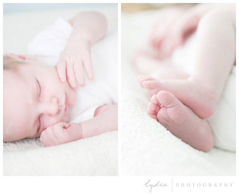Baby's little hands and feet for a lifestyle newborn portraits in Napa, California