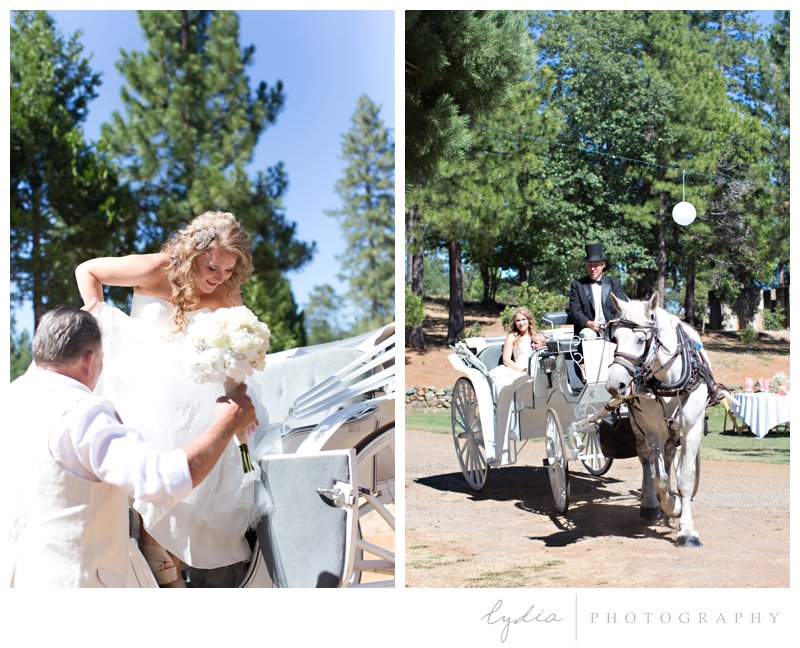 Bride coming in a carriage at North Star House wedding in Grass Valley, California. 