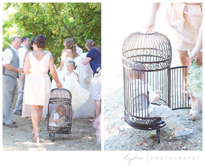 Ringbearer inside a cage at North Star House wedding in Grass Valley, California. 