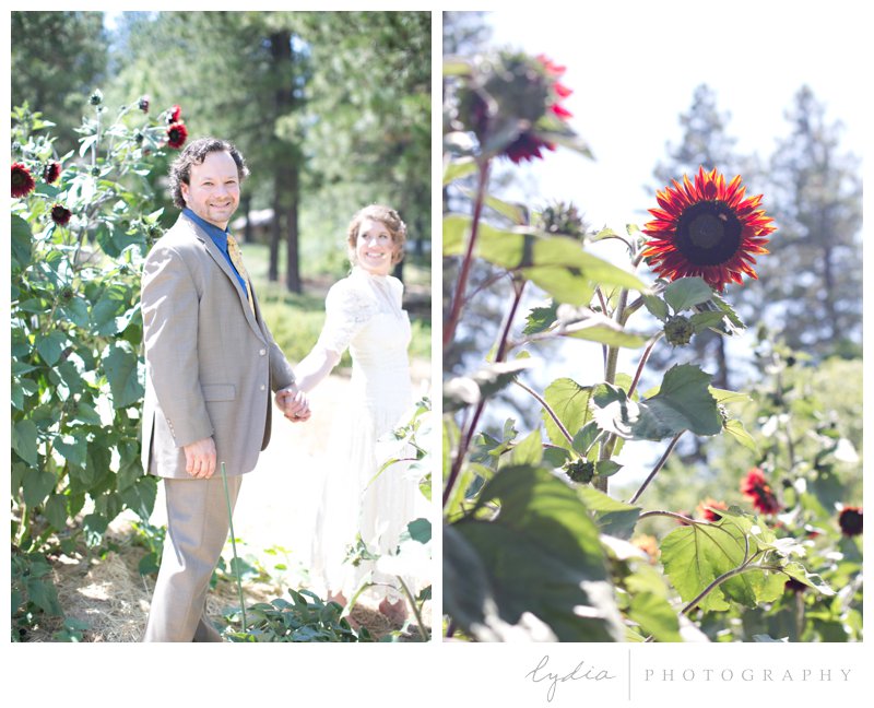 Bride and groom with sunflowers at rustic garden wedding in Chicago Park, California.
