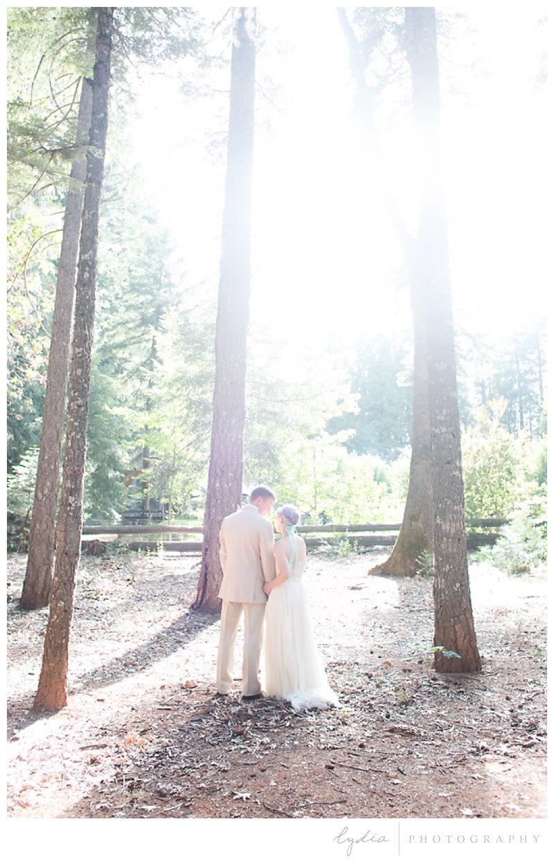 Bride and groom with sun rays behind at Harmony Ridge Lodge wedding in Grass Valley, California.