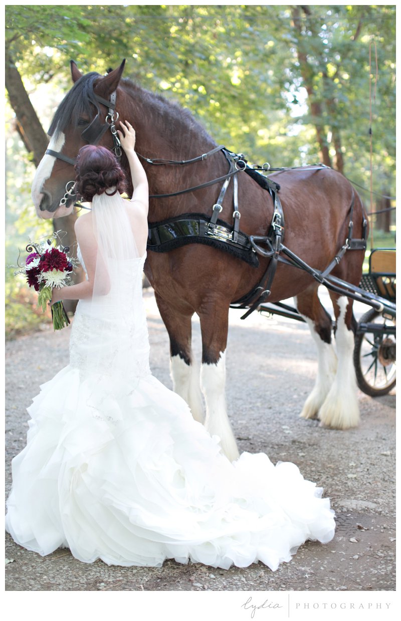 Bride petting a horse for a modern wedding at Empire Mine in Grass Valley, California.