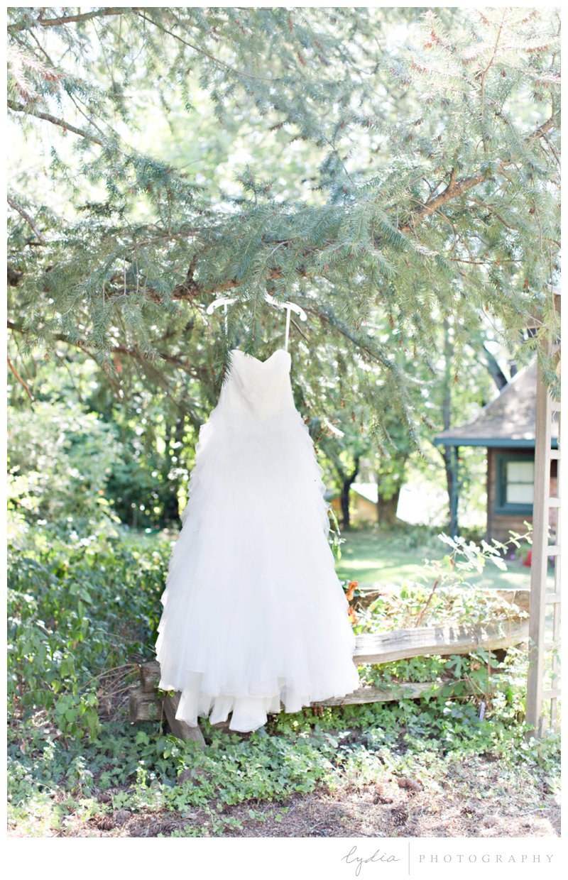 Bride's dress hanging in a tree at a barn at Squirrel Creek Ranch wedding in Grass Valley, California.
