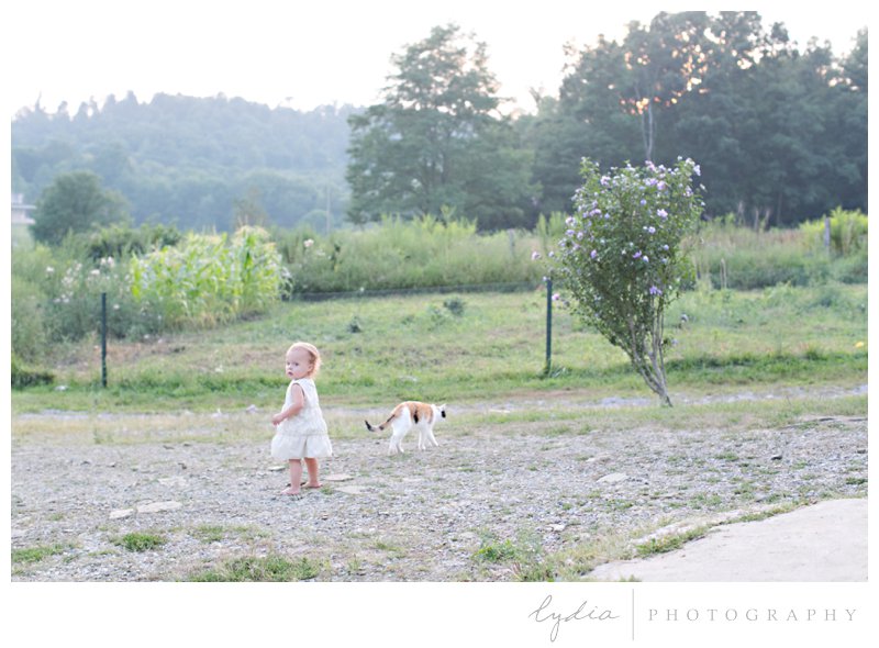Farm and little girl with cat portrait on family vacation to Pennsylvania.