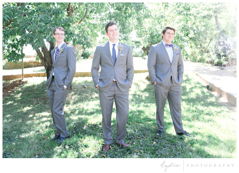 Groom and groomsmen at Lucchesi Vineyards in Grass Valley, California.