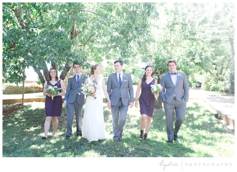 Bride and groom and wedding party at Lucchesi Vineyards in Grass Valley, California.
