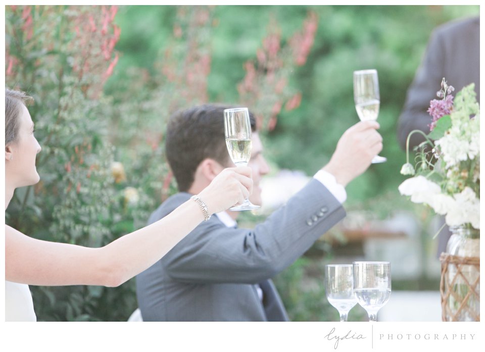 Bride and groom toasting at Lucchesi Vineyards in Grass Valley, California.