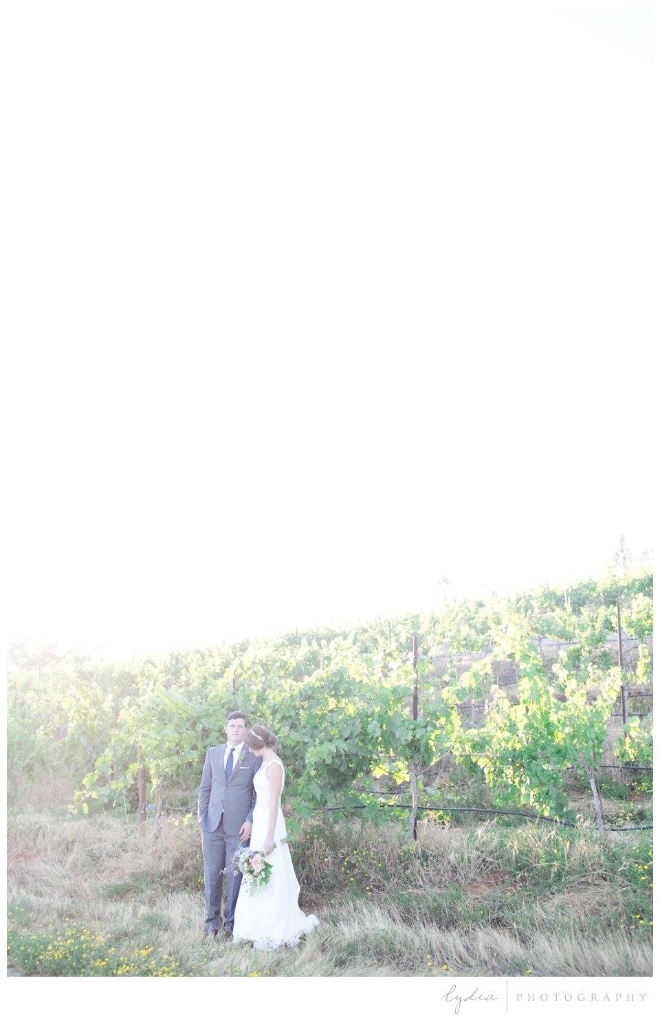 Bride and groom standing together at Lucchesi Vineyards wedding in Grass Valley, California.
