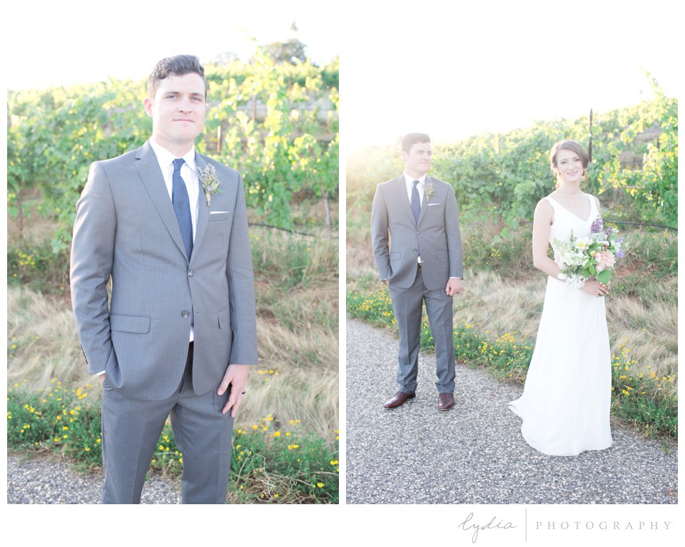 Groom and bride sunset portraits  at Lucchesi Vineyards wedding in Grass Valley, California.