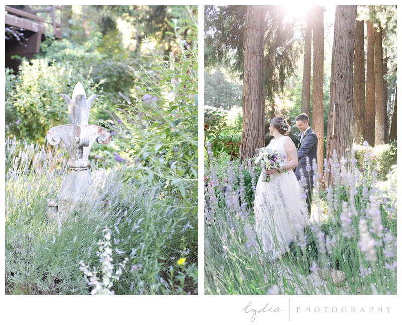 Bride and groom walking in lavendar in the Tahoe forest at Harmony Ridge Lodge in Nevada City, California.