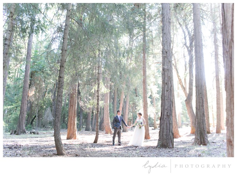 Bride and groom standing in the tall pines and redwoods in the Tahoe wedding forest at Harmony Ridge Lodge in Nevada City, California.