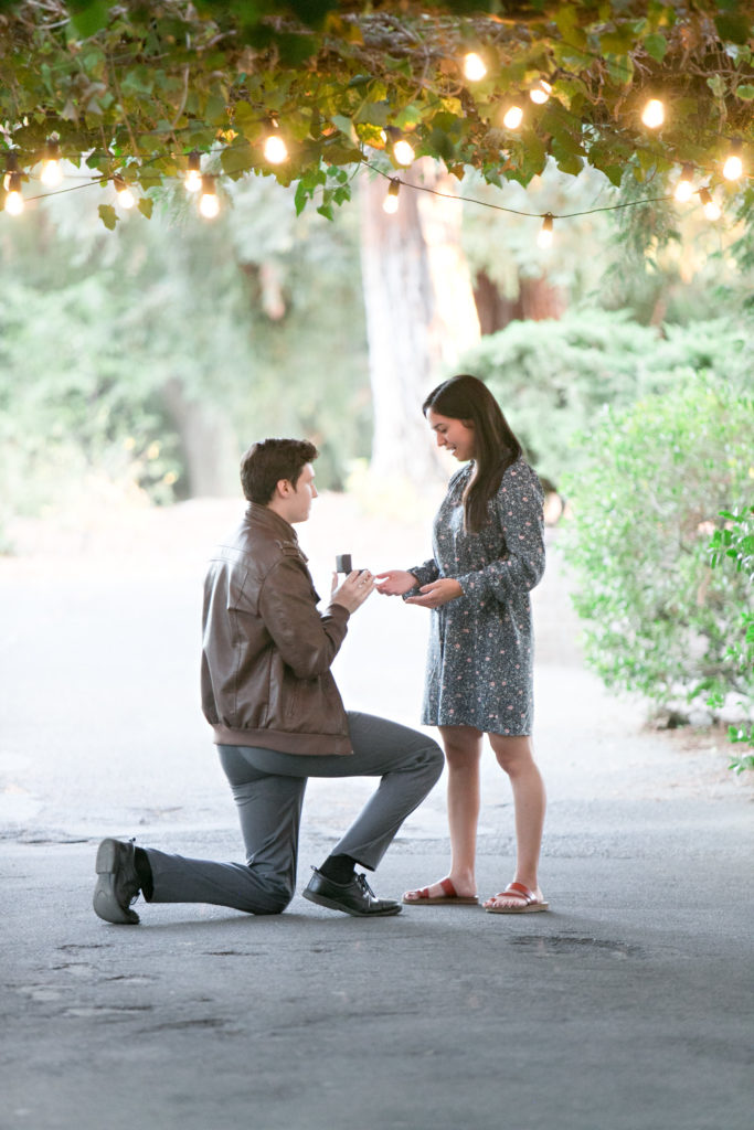 Surprise wedding engagement proposal